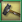 Small Hammer